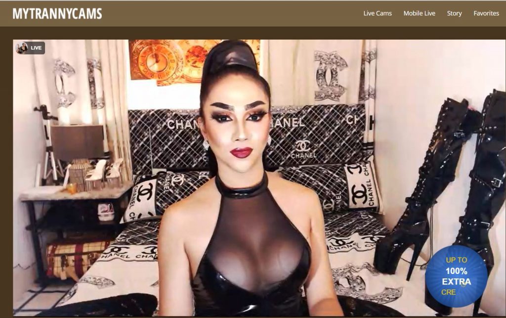 MyTrannyCams Review