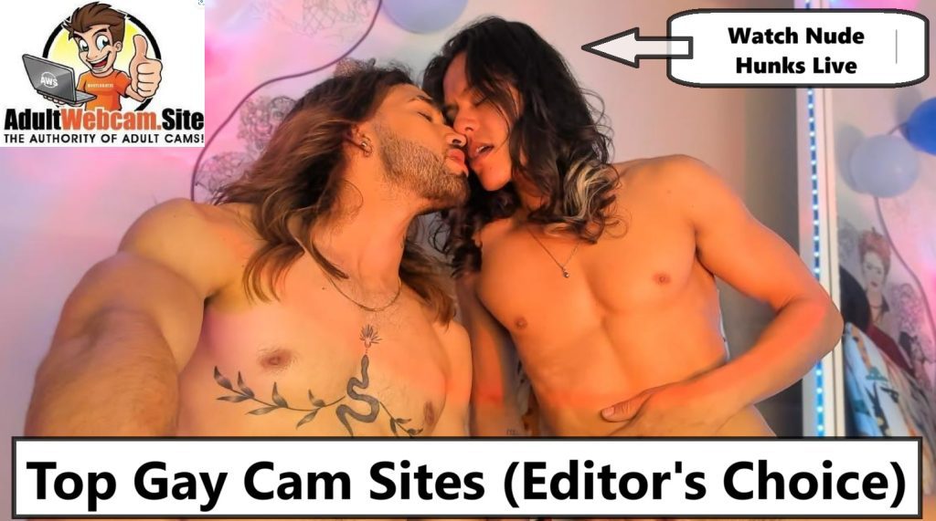 best gaycams